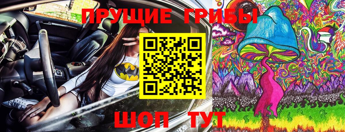 закладки  Галлюциногенные грибы MAGIC MUSHROOMS  Вход с VPN  Каменск-Шахтинский 
